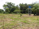 img/garden/2006/20060622120052.p6223673.jpg