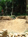 img/garden/2008/20080403131323.dsc00817.jpg
