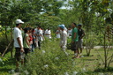 img/garden/2008/20080619100414.dsc_4598.jpg