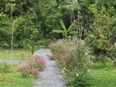 img/garden/2010/20100113124114.p1139669.jpg