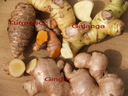 img/plants/zingiberaceae/curcuma_ginger_galanga.jpg